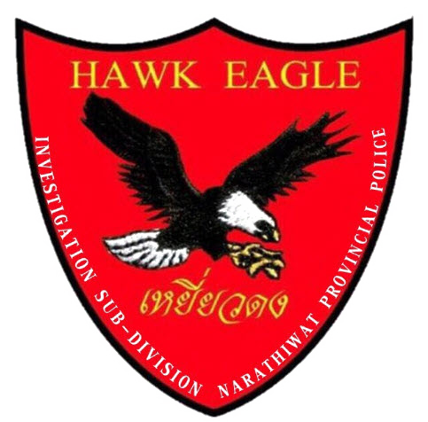 HAWK EAGLE